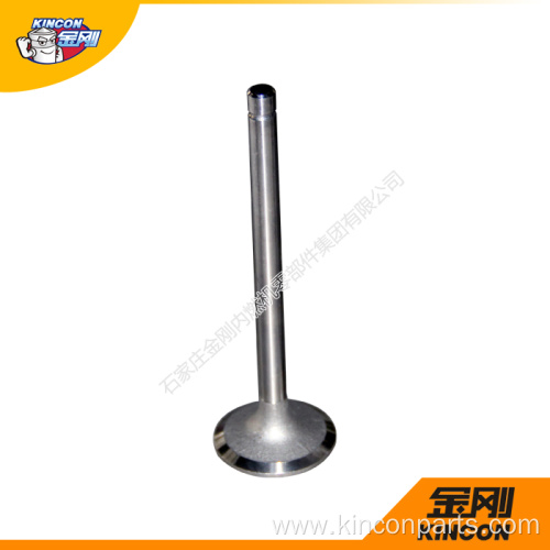 Engine Valves WD615E3